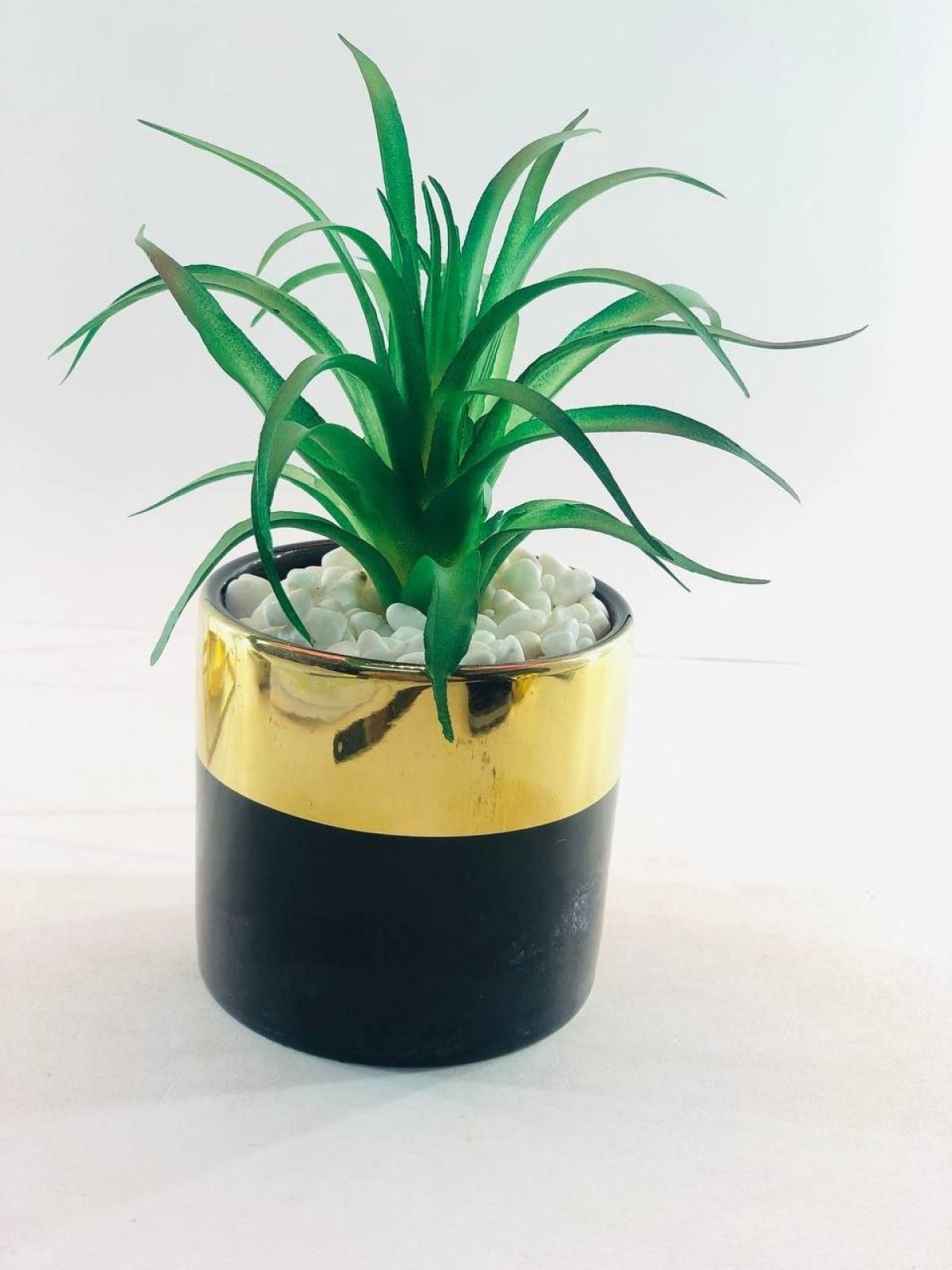 https://allseasons.shoman.net/uploads/products/t/s-p-2002-p-9591.jpg