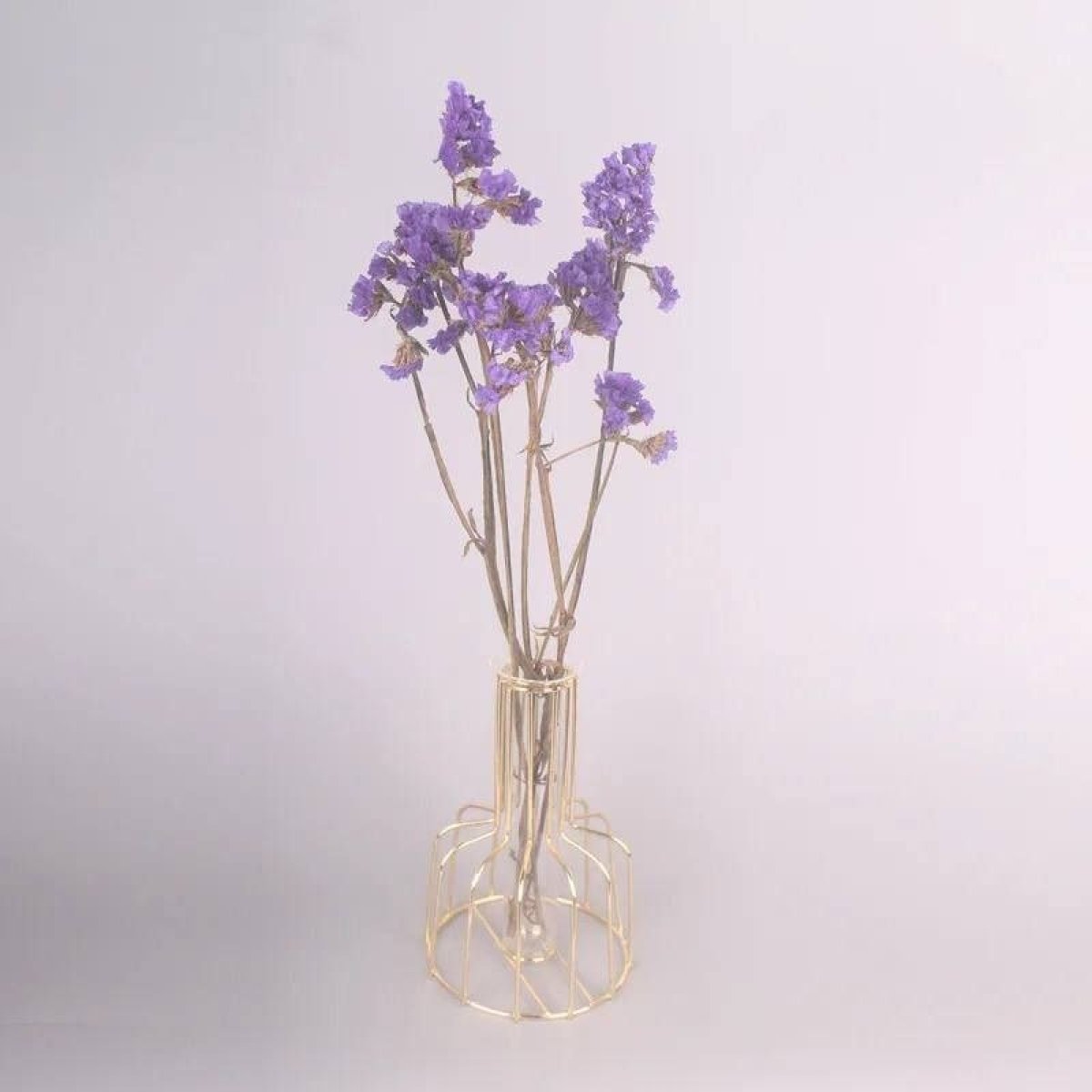 https://allseasons.shoman.net/uploads/products/t/s-p-2068-p-9923.jpg