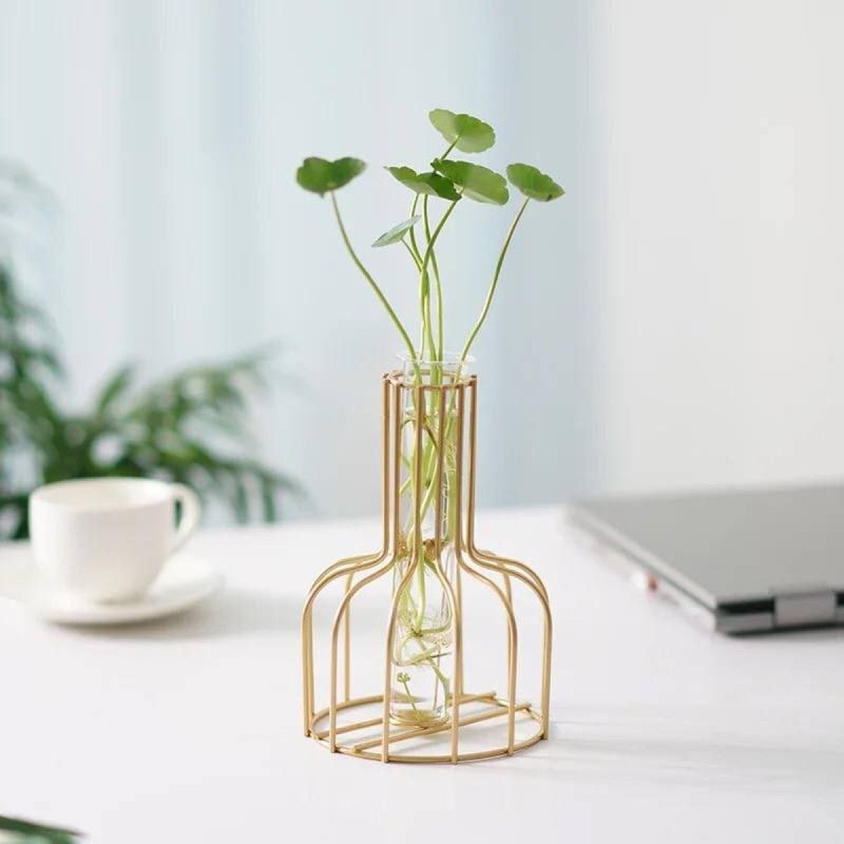 https://allseasons.shoman.net/uploads/products/t/s-p-2069-p-9932.jpg