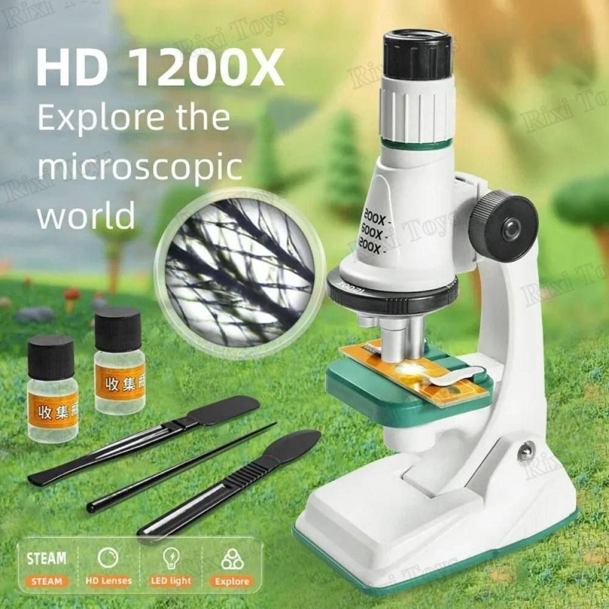 https://allseasons.shoman.net/uploads/products/t/s-p-2404-p-11613.jpg