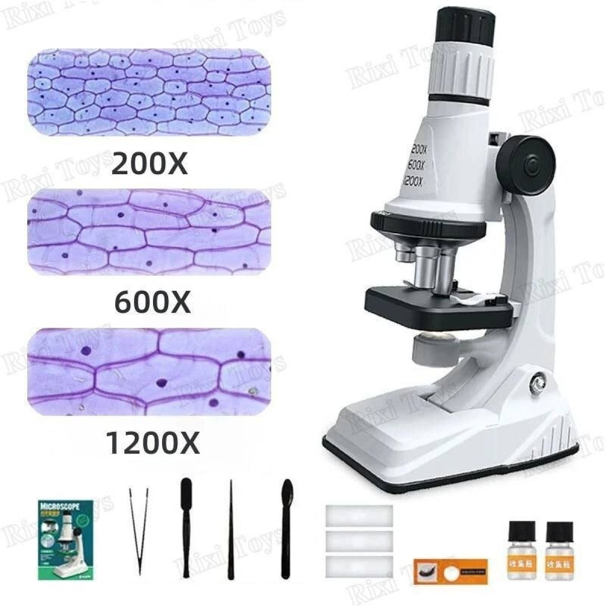 https://allseasons.shoman.net/uploads/products/t/s-p-2404-p-11615.jpg