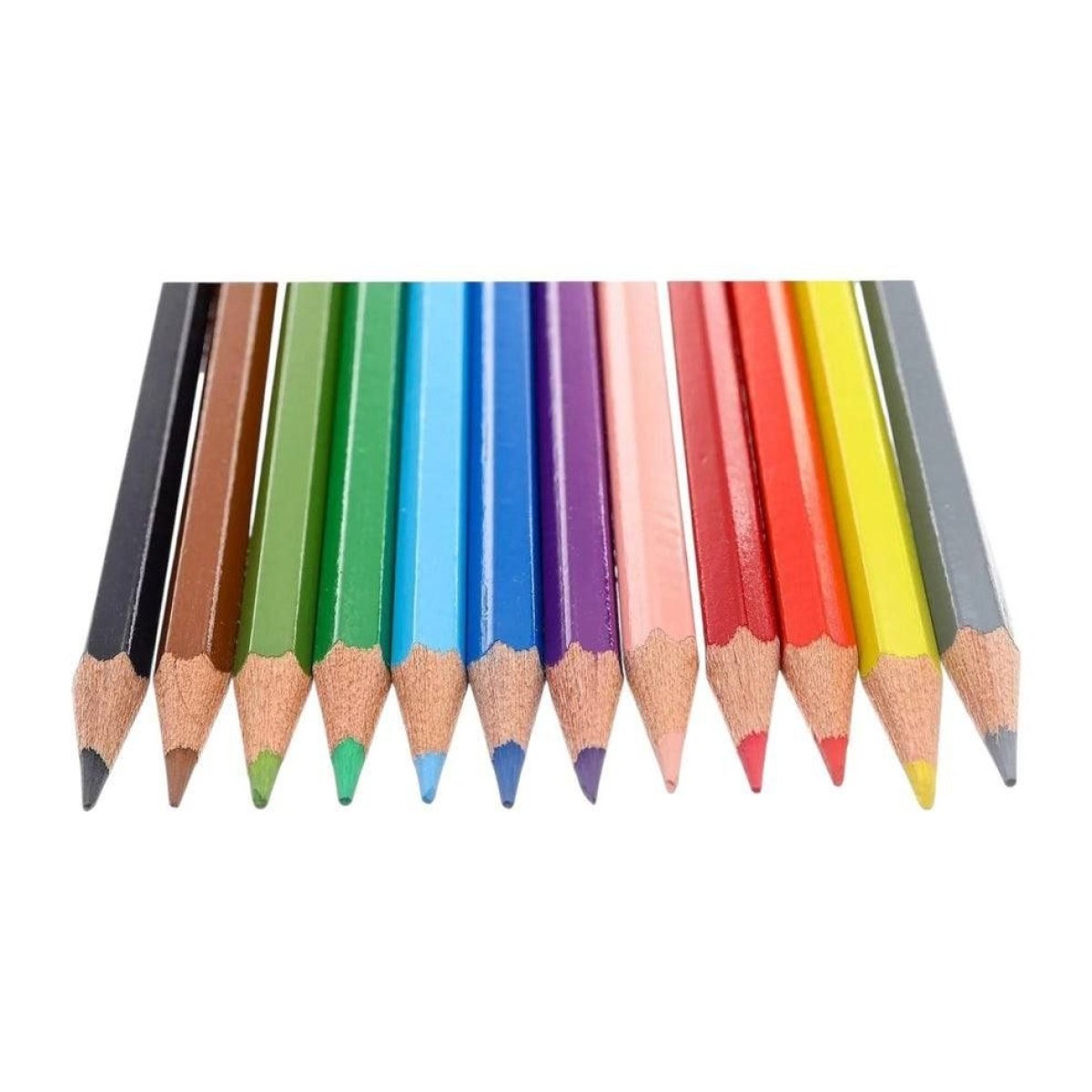 https://allseasons.shoman.net/uploads/products/t/s-p-725-p-13755.jpg